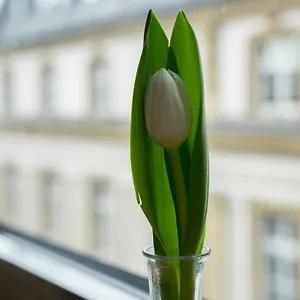 Hotel Sankt Andreas Düsseldorf