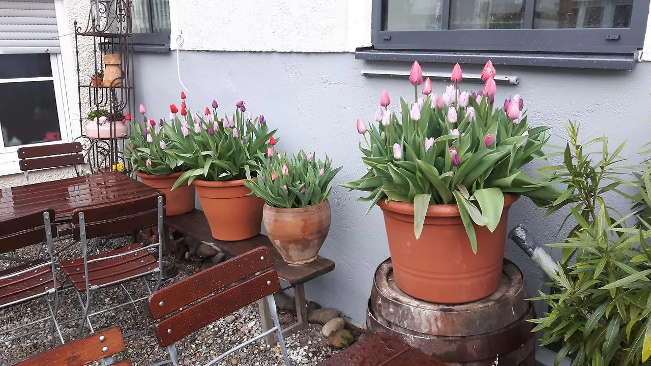 Hotel Gasthof Traubenbraeu Krumbach
